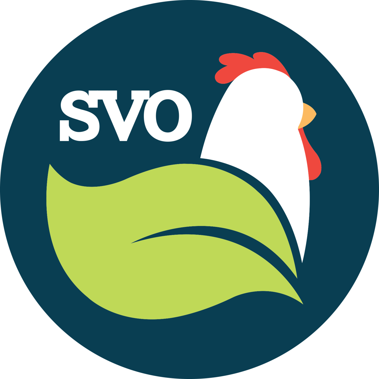 SVO